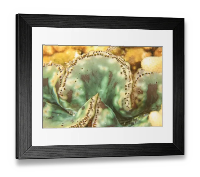 Framed Print : Asia, Indonesia Framed Print : Asia, Indonesia