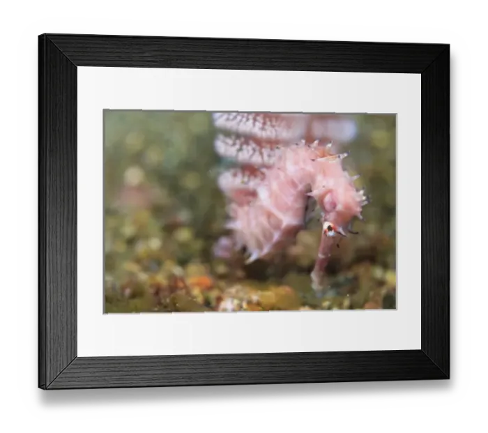 Framed Print : Asia, Indonesia