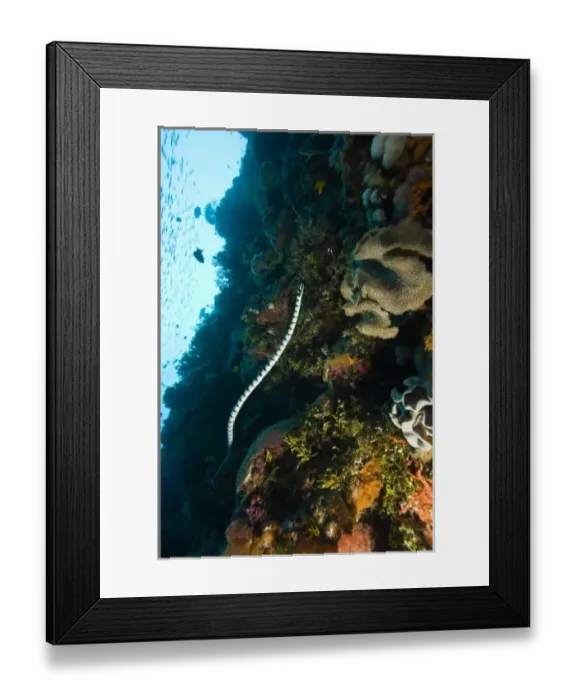 Framed Print : Asia, Indonesia Framed Print : Asia, Indonesia