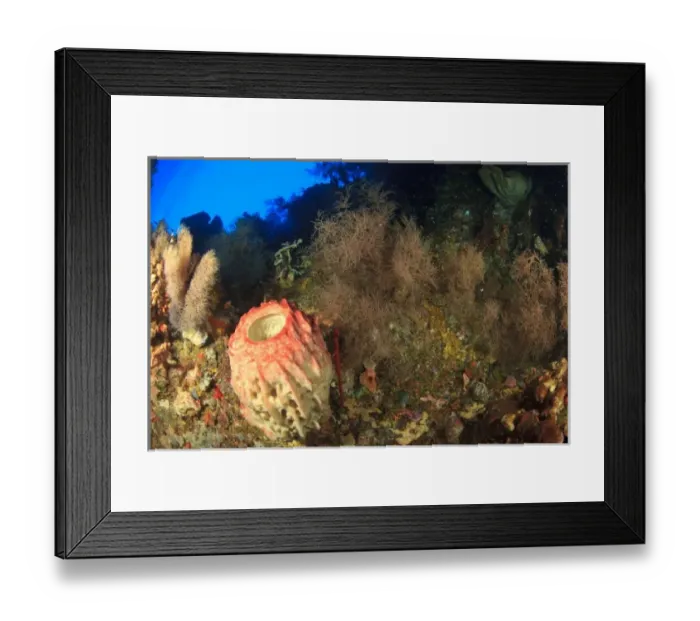 Framed Print : Asia, Indonesia Framed Print : Asia, Indonesia