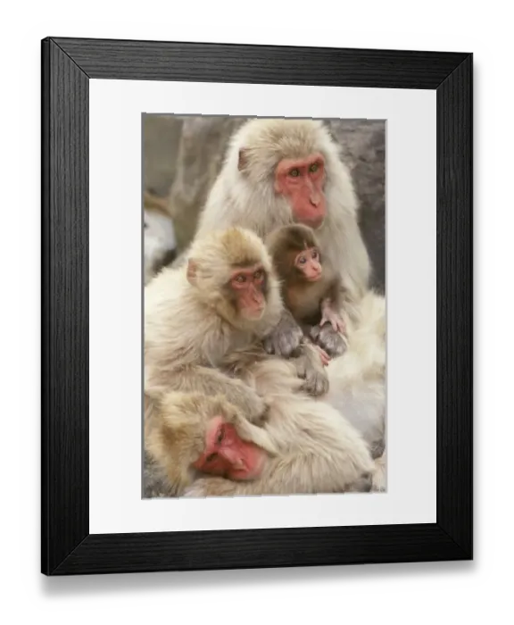Framed Print : Asia, Japan Framed Print : Asia, Japan