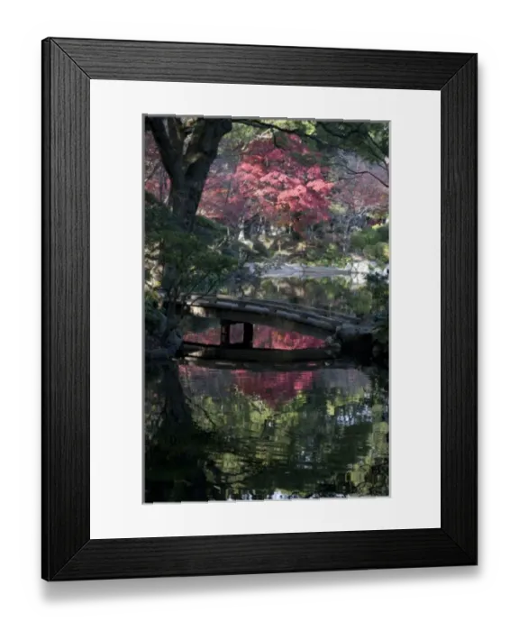 Framed Print : Tranquil fall setting with changing leaves reflected in pond of classical Shukkeien