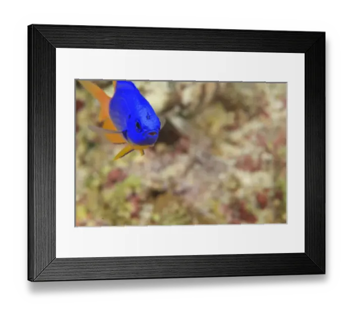 Framed Print : Asia, Indonesia Framed Print : Asia, Indonesia