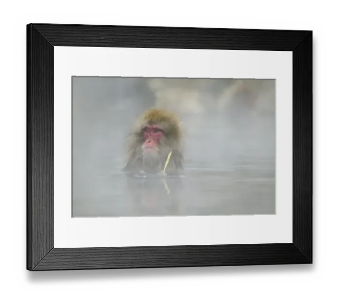 Framed Print : Asia, Japan Framed Print : Asia, Japan