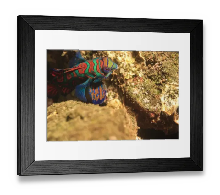 Framed Print : Asia, Indonesia Framed Print : Asia, Indonesia