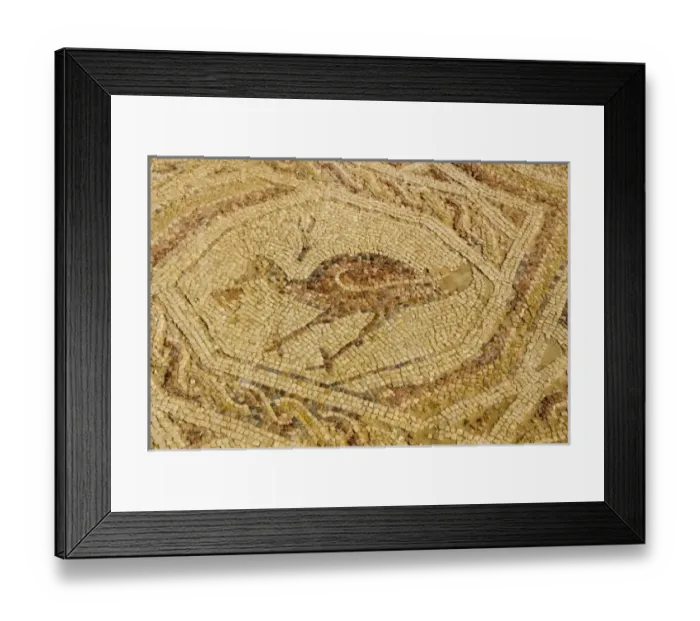 Framed Print : Asia, Israel Framed Print : Asia, Israel