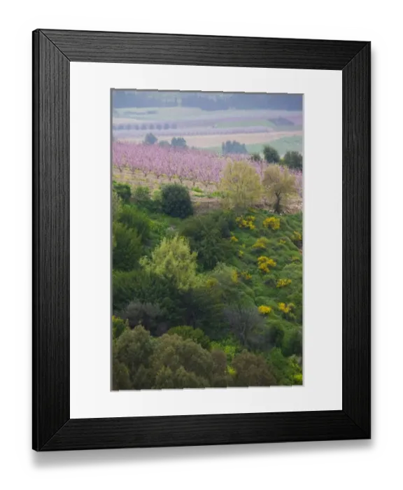Framed Print : Asia, Israel Framed Print : Asia, Israel