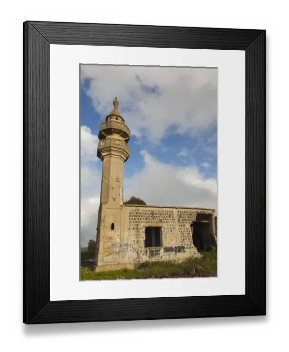 Framed Print : Asia, Israel