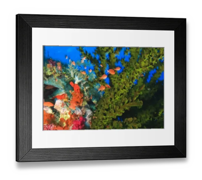 Framed Print : Scuba Diving at Tukang Besi / Wakatobi Archipelago Marine Preserve, South Sulawesi, Indonesia, S Framed Print : Scuba Diving at Tukang Besi / Wakatobi Archipelago Marine Preserve, South Sulawesi, Indonesia, S