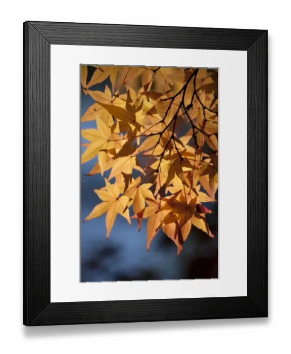 Framed Print : Asia, Japan Framed Print : Asia, Japan