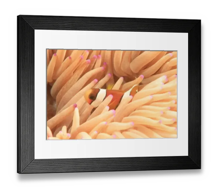 Framed Print : Asia, Indonesia Framed Print : Asia, Indonesia