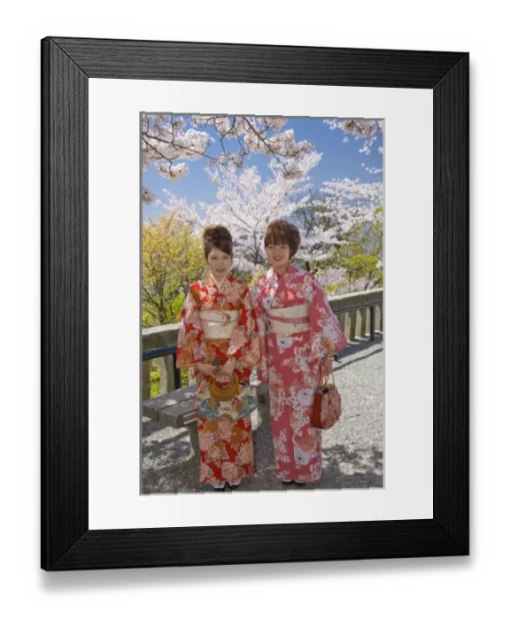 Framed Print : Japan, Honshu island, Kyoto, two women in kimonos under cherry blossom trees at Kiyomizudera Temple Framed Print : Japan, Honshu island, Kyoto, two women in kimonos under cherry blossom trees at Kiyomizudera Temple