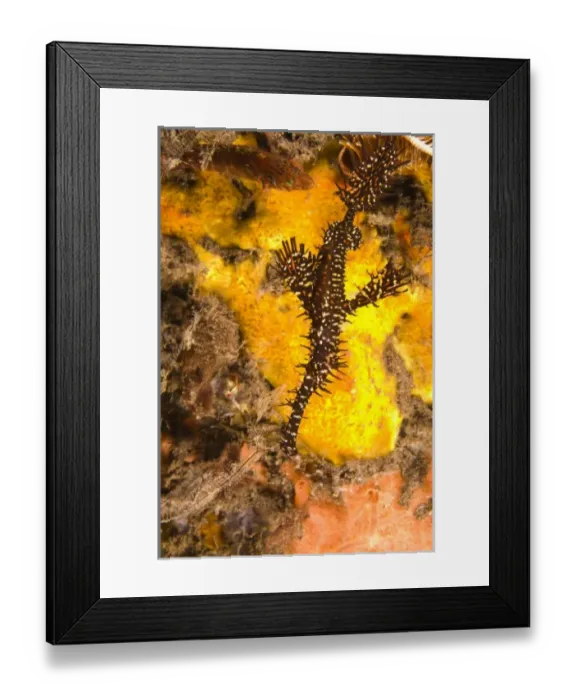 Framed Print : Asia, Indonesia