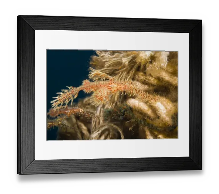 Framed Print : Asia, Indonesia Framed Print : Asia, Indonesia