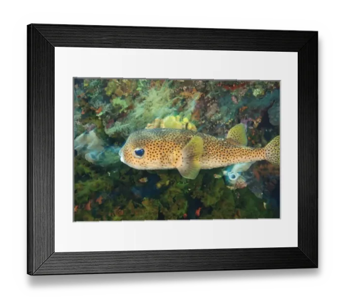 Framed Print : Asia, Indonesia Framed Print : Asia, Indonesia