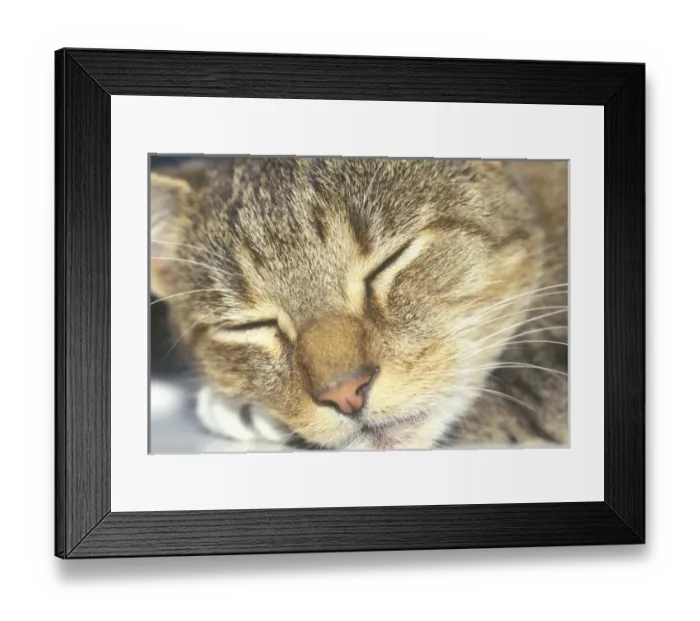 Framed Print : Asia, Japan