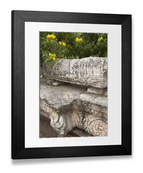 Framed Print : Asia, Israel Framed Print : Asia, Israel