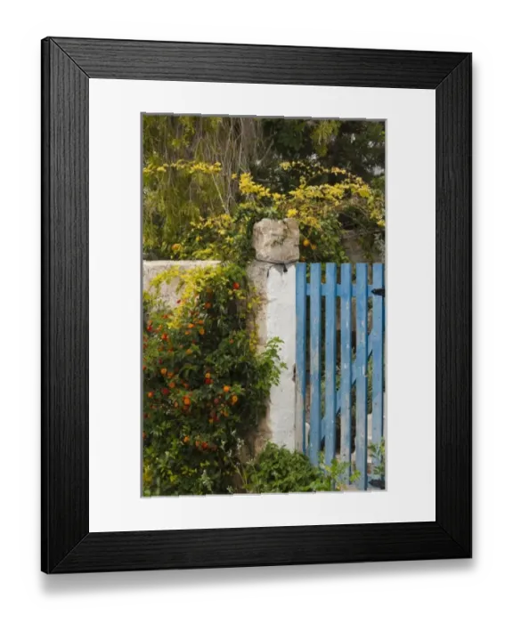 Framed Print : Israel, North Coast, Ein Hod, Haifa-area artist village, gate detail