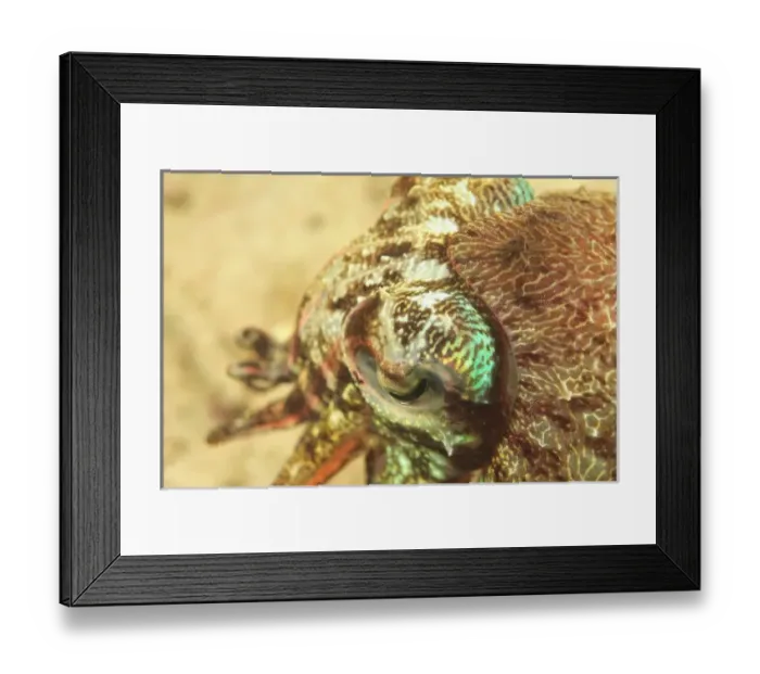 Framed Print : Asia, Indonesia Framed Print : Asia, Indonesia