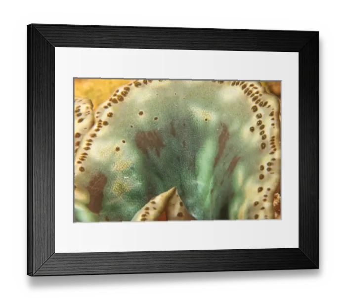 Framed Print : Asia, Indonesia Framed Print : Asia, Indonesia