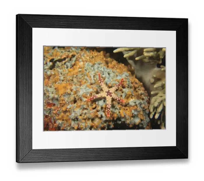 Framed Print : Asia, Indonesia