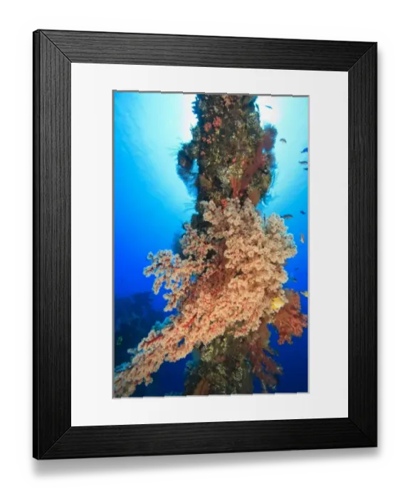 Framed Print : World War II Shipwreck-Liberty Cargo Ship, Tulamben, North Bali, Indonesia