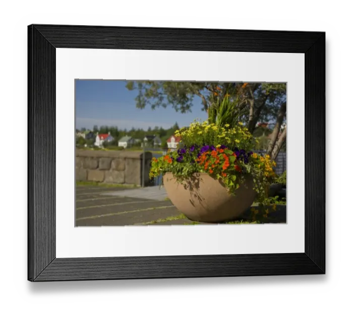 Framed Print : Iceland, Reykjavik. A large flower-filled vase decorates a common area Framed Print : Iceland, Reykjavik. A large flower-filled vase decorates a common area