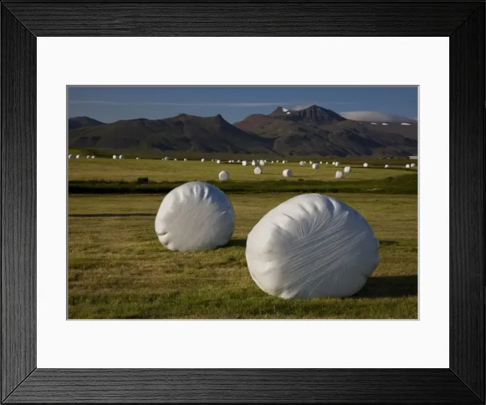 Framed Print : Iceland. Plastic-wrapped hay bales can be seen on almost every farm in Iceland in mid-July Framed Print : Iceland. Plastic-wrapped hay bales can be seen on almost every farm in Iceland in mid-July