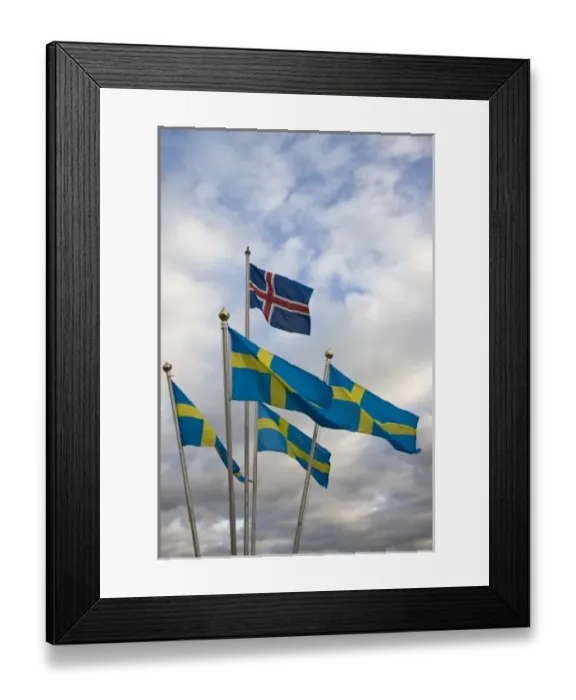 Framed Print : Iceland. The national flag of Norway flies above a grouping of Swedens National flags Framed Print : Iceland. The national flag of Norway flies above a grouping of Swedens National flags