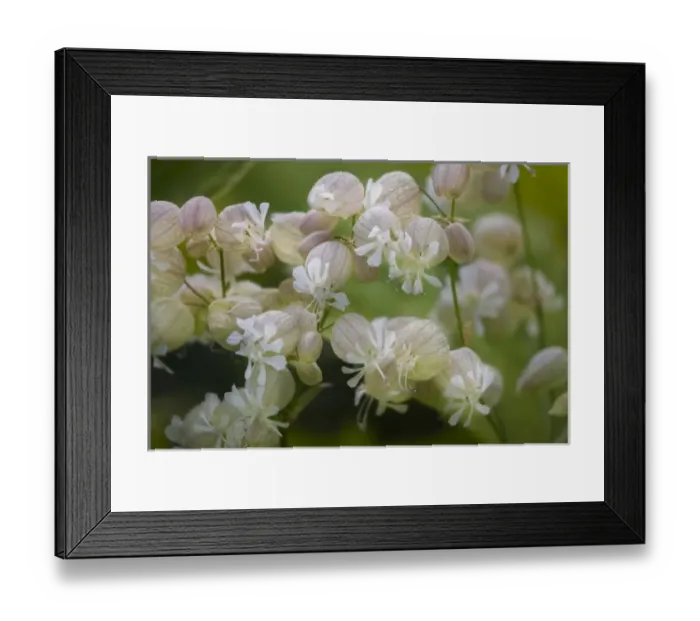 Framed Print : Europe, Iceland Framed Print : Europe, Iceland