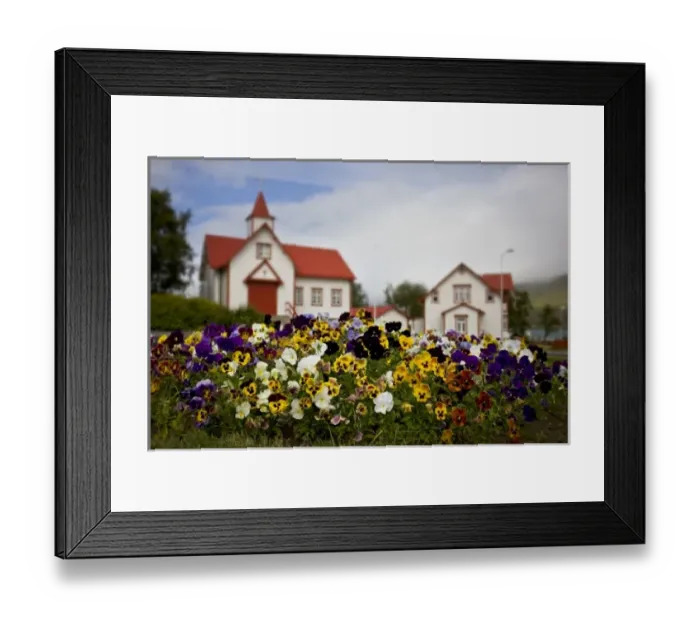 Framed Print : Iceland, Akureyri. Pansies in front of a church Framed Print : Iceland, Akureyri. Pansies in front of a church