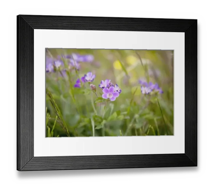 Framed Print : Europe, Iceland