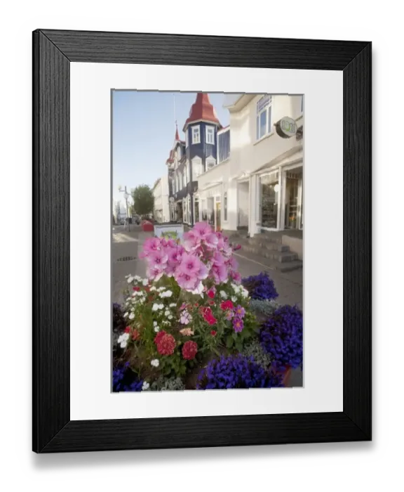 Framed Print : Pedestrian street decorated with flower displays add to the charm of Iceland s