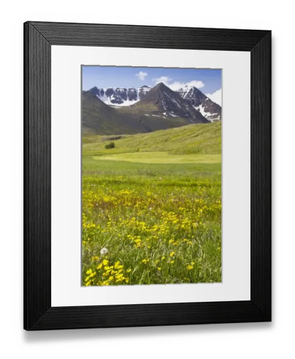 Framed Print : Europe, Iceland Framed Print : Europe, Iceland