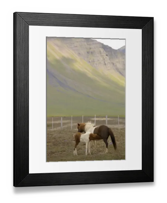 Framed Print : Europe, Iceland Framed Print : Europe, Iceland