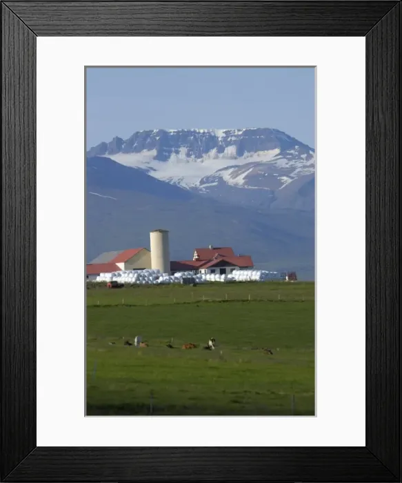 Framed Print : Iceland, Akureyri, farm Framed Print : Iceland, Akureyri, farm