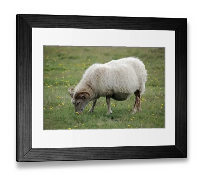 Framed Print : Europe, Iceland Framed Print : Europe, Iceland
