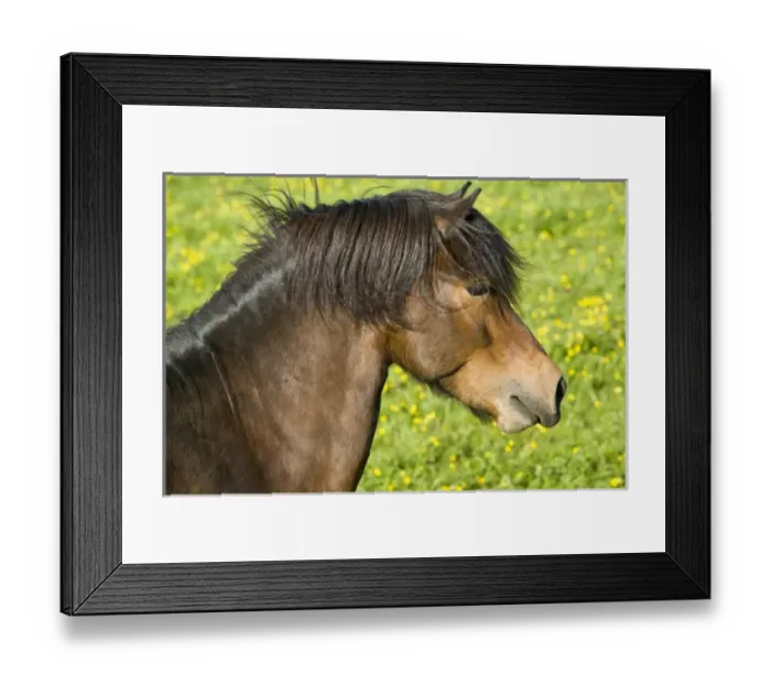 Framed Print : Europe, Iceland Framed Print : Europe, Iceland