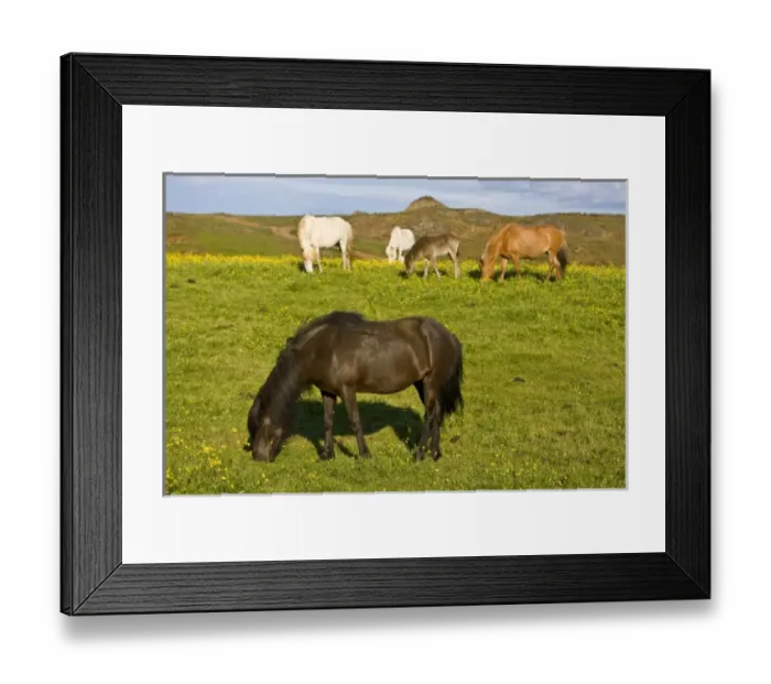 Framed Print : Europe, Iceland Framed Print : Europe, Iceland