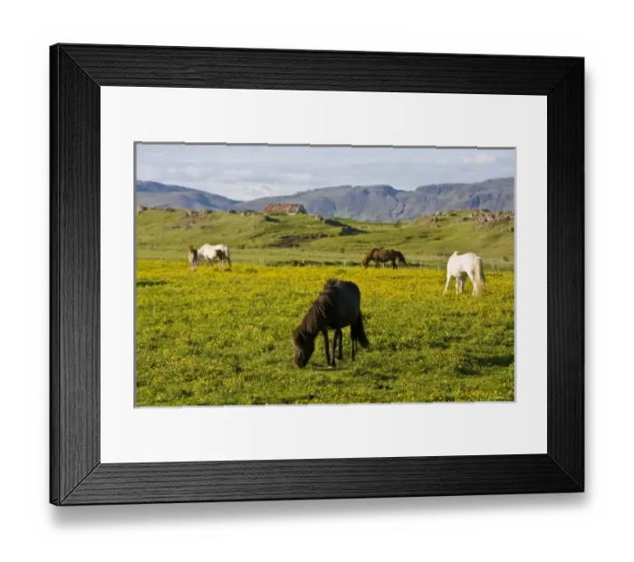 Framed Print : Europe, Iceland Framed Print : Europe, Iceland