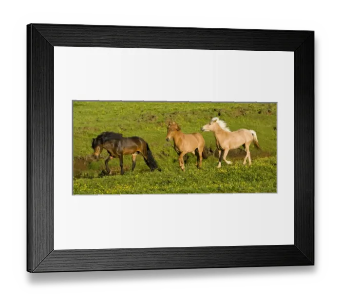 Framed Print : Europe, Iceland Framed Print : Europe, Iceland
