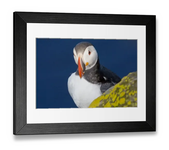Framed Print : Europe, Iceland Framed Print : Europe, Iceland
