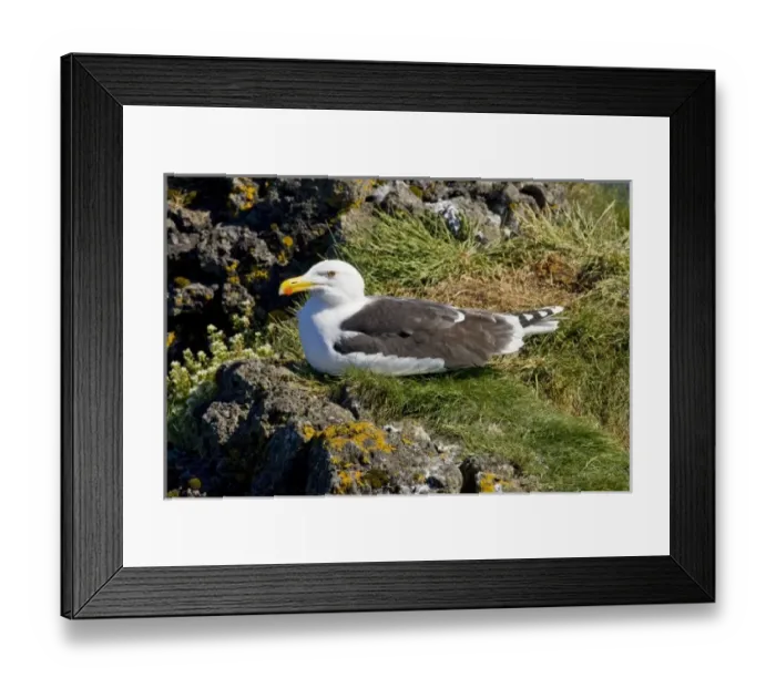 Framed Print : Europe, Iceland