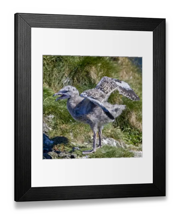 Framed Print : Europe, Iceland