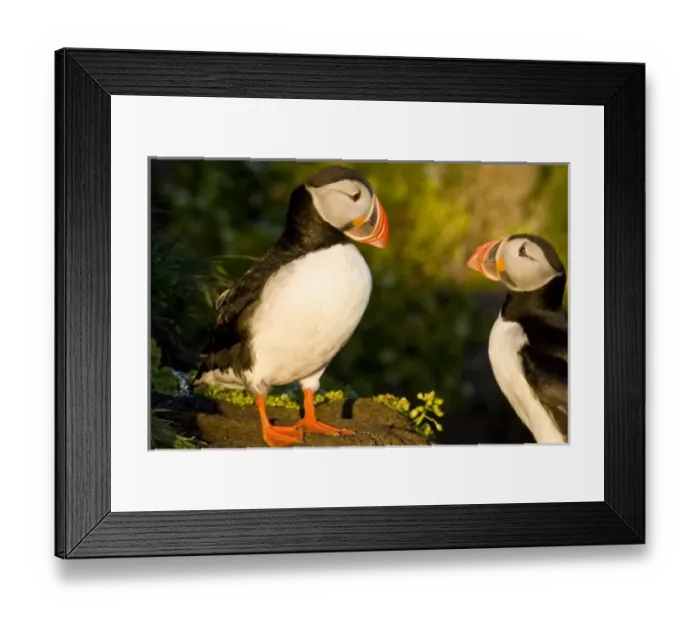 Framed Print : Europe, Iceland