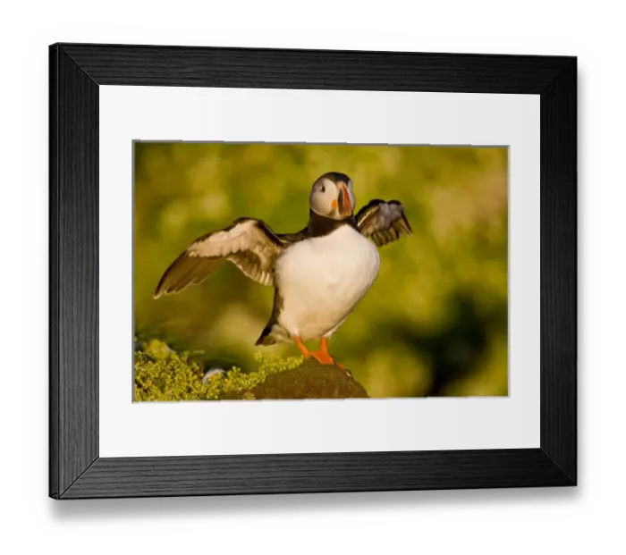 Framed Print : Europe, Iceland Framed Print : Europe, Iceland