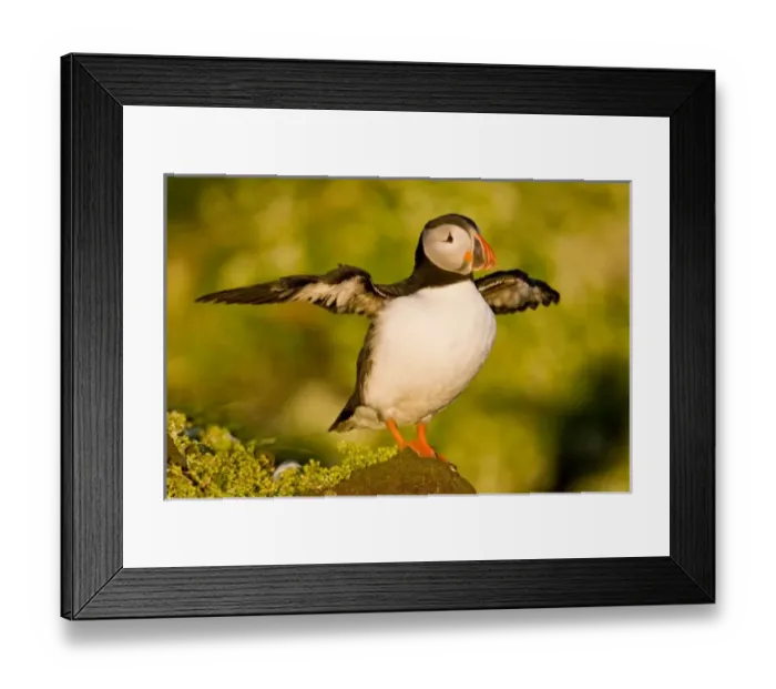 Framed Print : Europe, Iceland Framed Print : Europe, Iceland