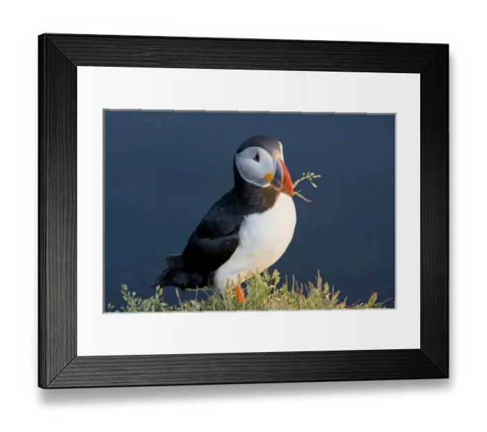 Framed Print : Europe, Iceland Framed Print : Europe, Iceland