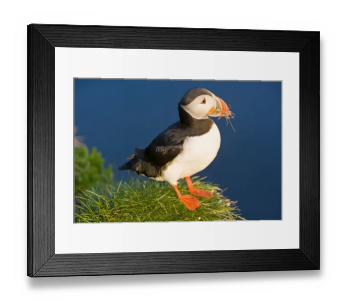 Framed Print : Europe, Iceland Framed Print : Europe, Iceland