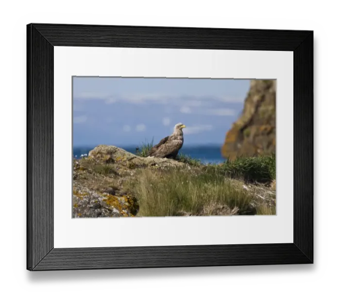 Framed Print : Europe, Iceland Framed Print : Europe, Iceland